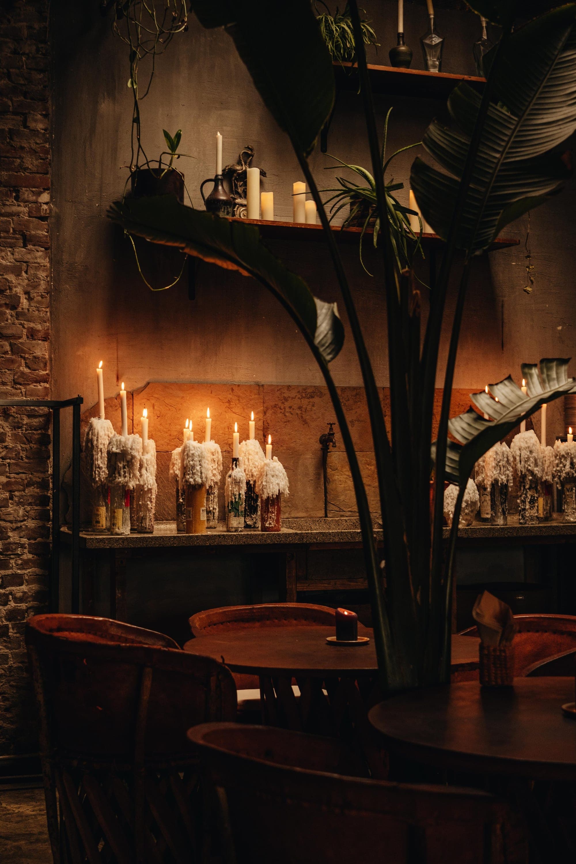 Coba Taqueria, 2