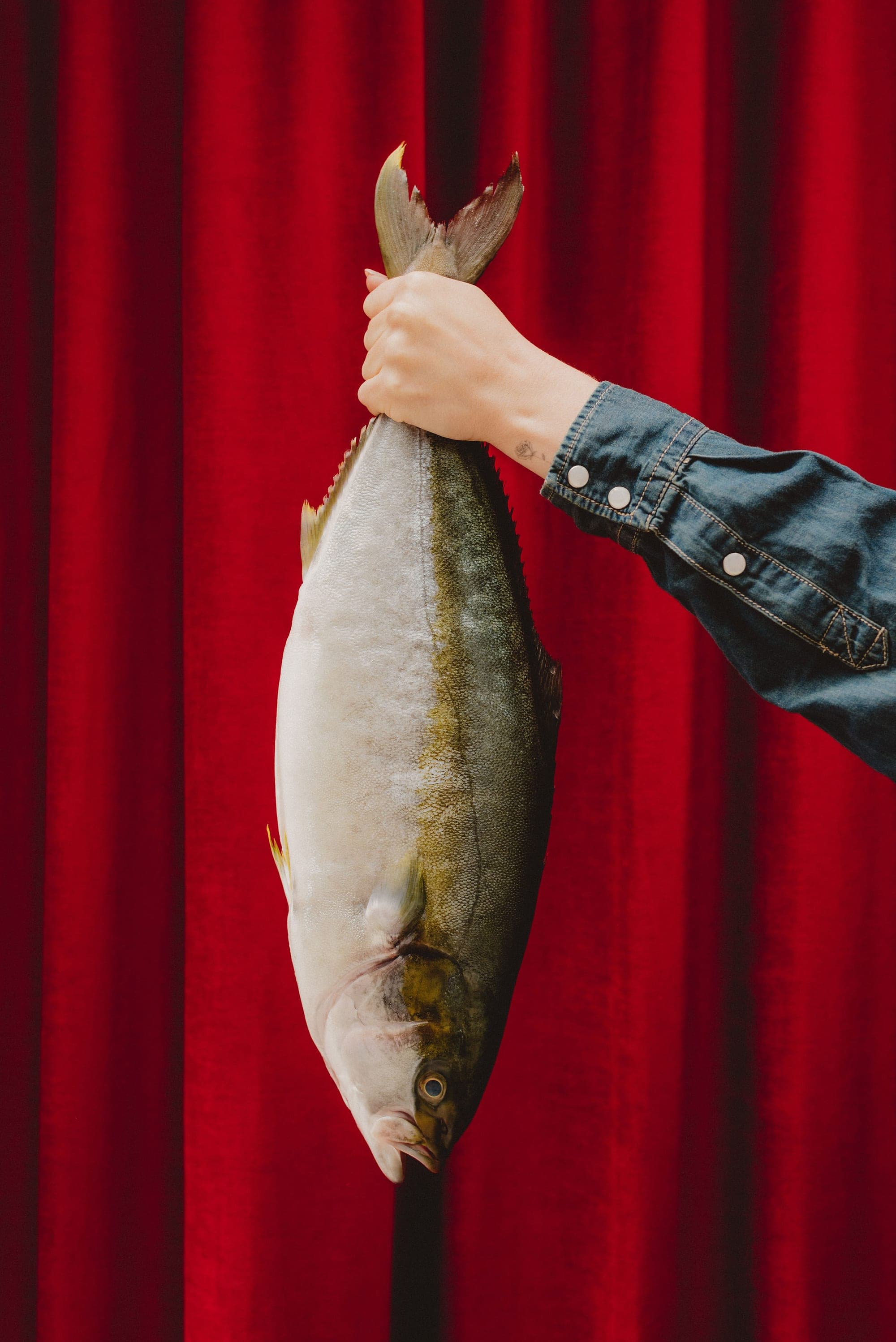 Pesca, 2