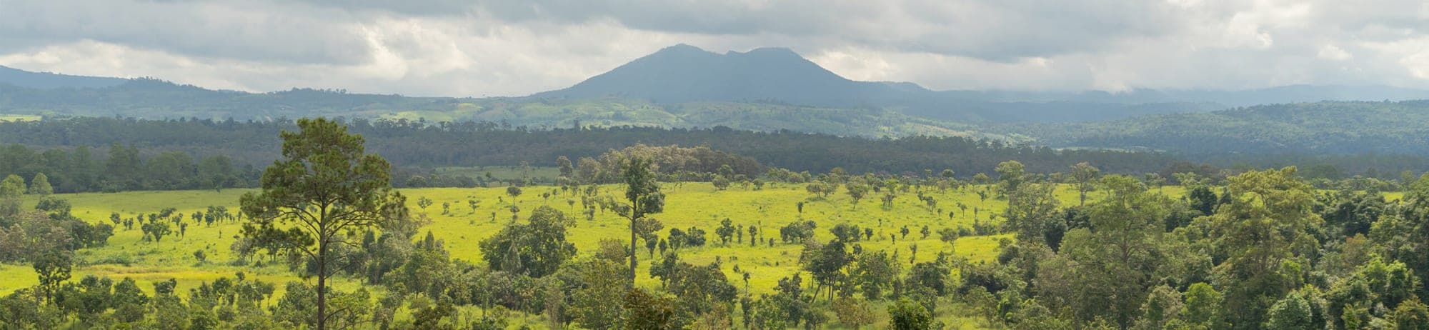 Tokoman